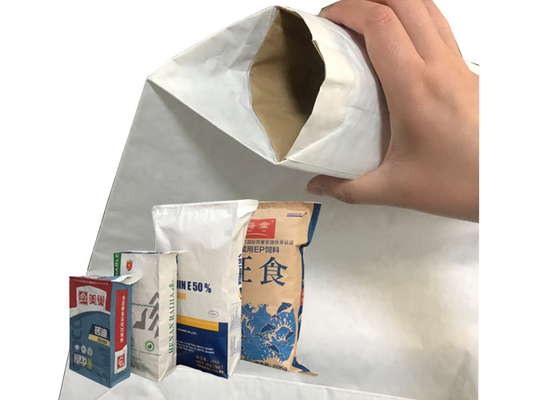 Douane Gedrukte Vloeibare Morserij Absorberende Document Verpakkende Zak 15kg 20kg