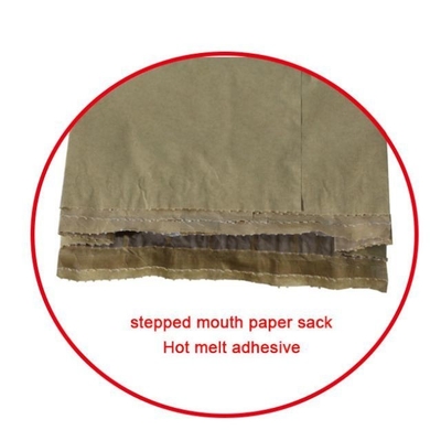 De gerecycleerde het Document van de Snuifjebodem Zakkenkokosnoot Verpakking keurt Logo Print goed