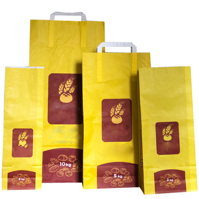 ISO9001 douane Gedrukte Biologisch afbreekbare het Document van 6L 10L Zakken voor Cat Litter Packaging