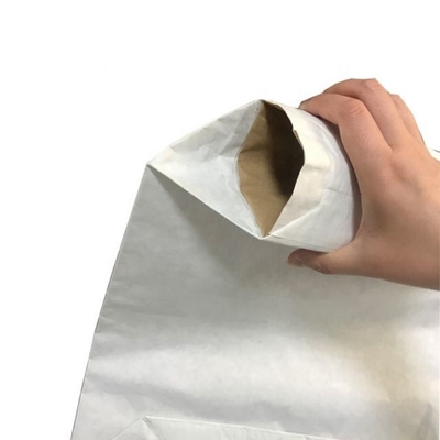 25 kg aangepaste industriële klep papieren zakken voor de bouw