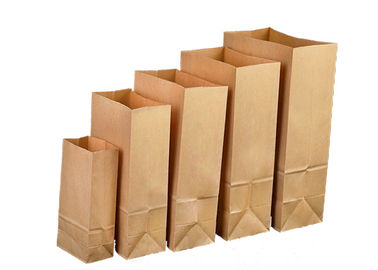 Het Document van Multiwall Kraftpapier van de voedselrang Vriendschappelijke Biologisch afbreekbare GMP Norm van Zakken de Rekupereerbare Eco