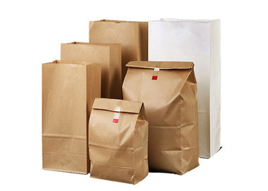 Het Document van Multiwall Kraftpapier van de voedselrang Vriendschappelijke Biologisch afbreekbare GMP Norm van Zakken de Rekupereerbare Eco
