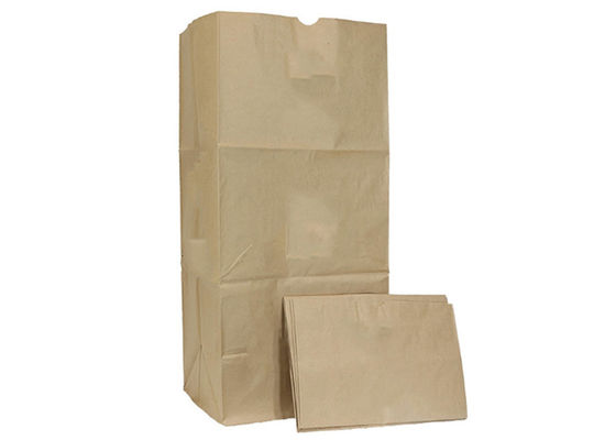 30 Gal Biodegradable Lawn And Leaf doen Document de Zakken van het Tuinafval in zakken