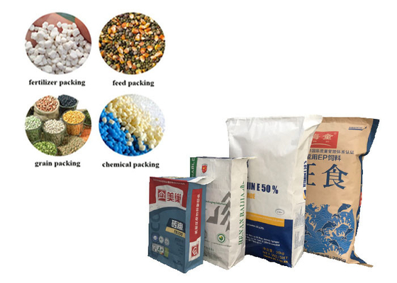 De aangepaste Natuurlijke Bruine Kraftpapier-Document Verpakkende druk van Zakkenflexo